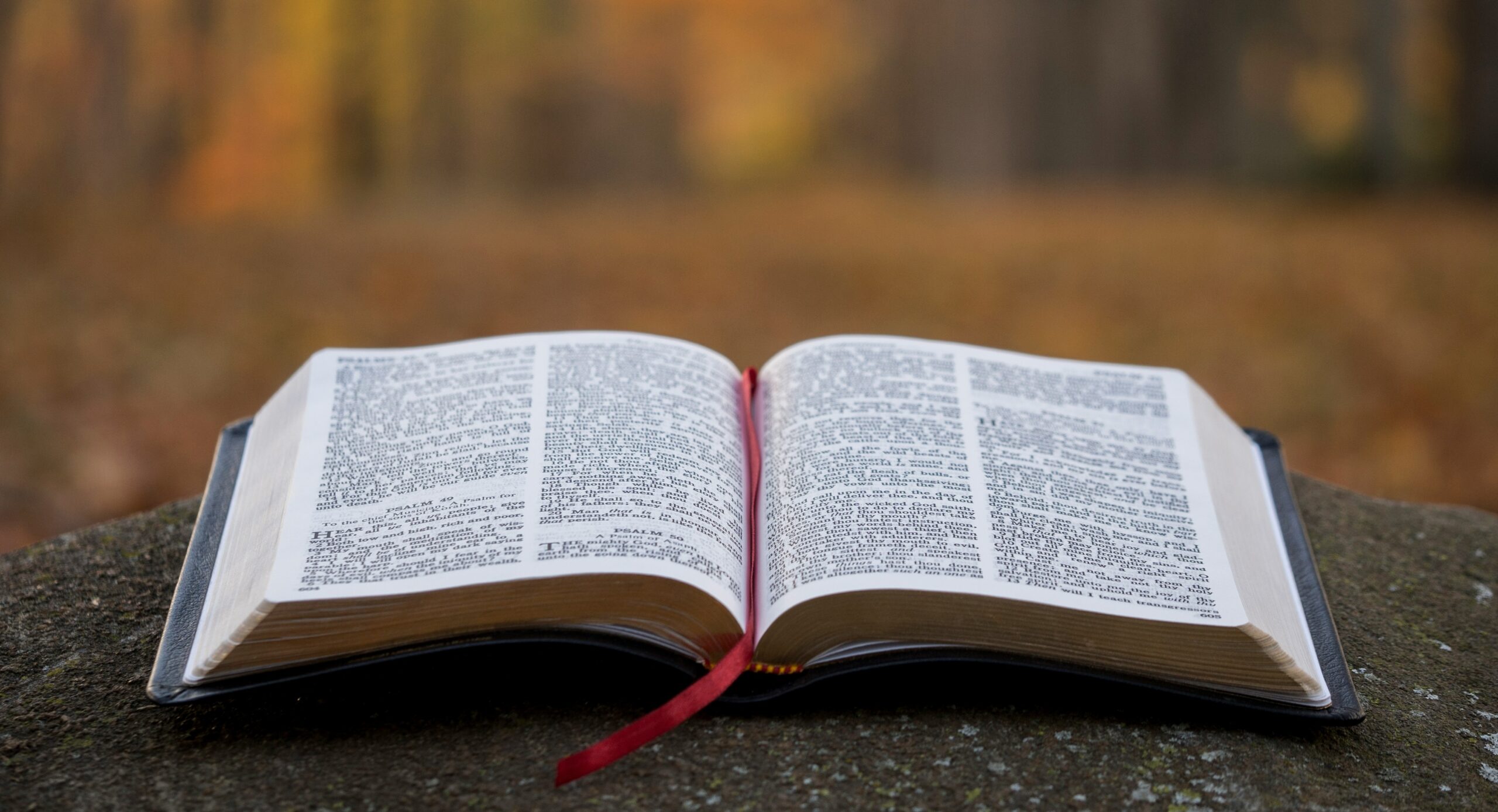 Uppslagen Bibel som ligger på ett betongunderlag utomhus.