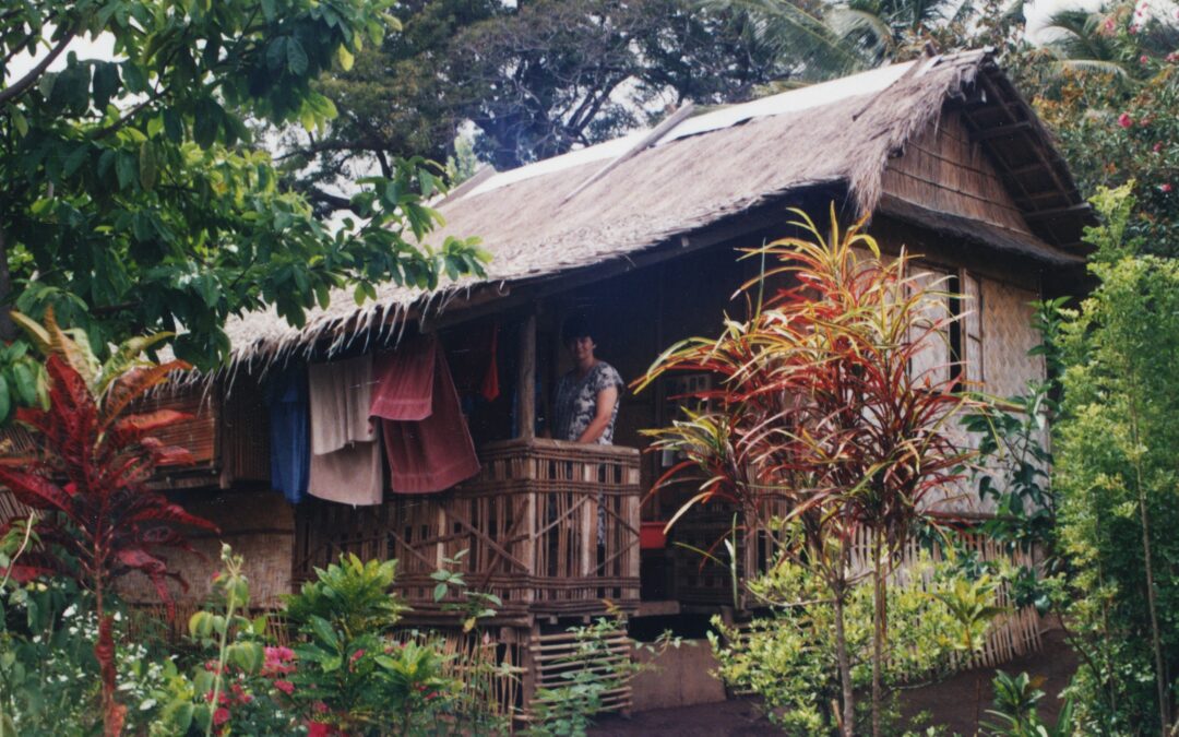 Vad är en riktig missionär?