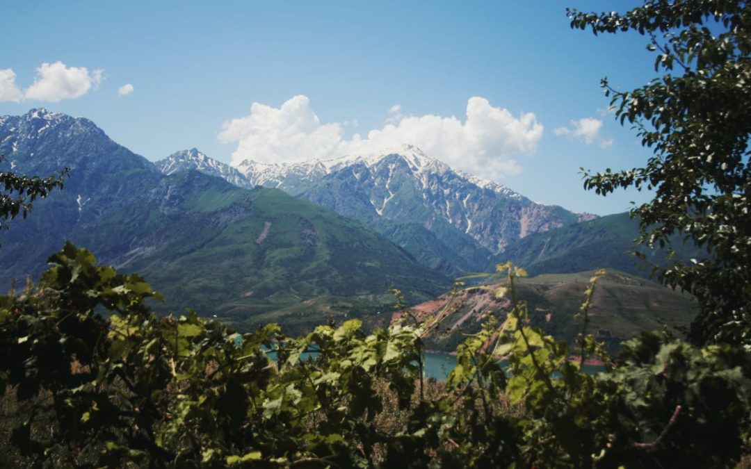 Waymaker – Miracleworker