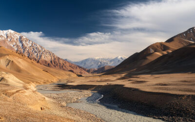 Äntligen är Nya Testamentet klart till språket Magend!
