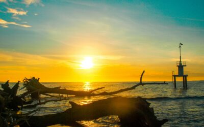 2017 – ett spännande år!