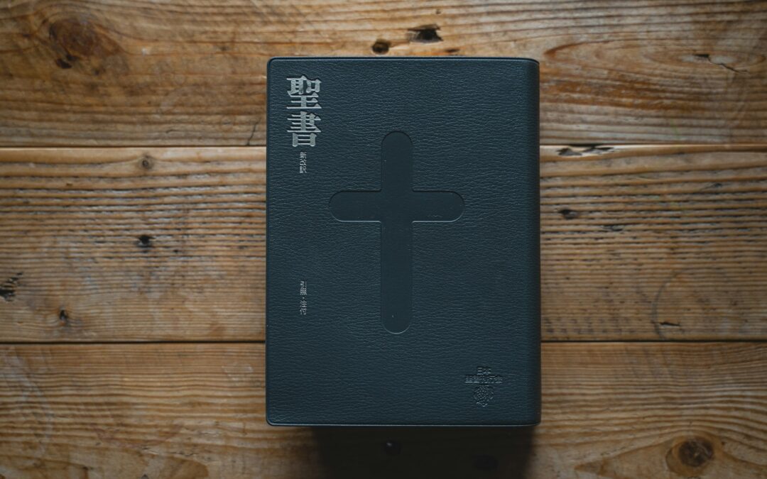 Hela Bibeln till hela världen