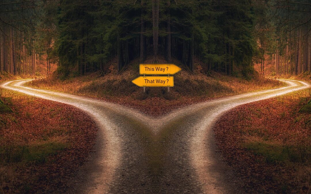 Vägskäl för bibelöversättning