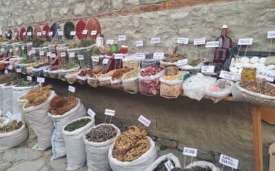 Vi ökar stödet till södra Kaukasus