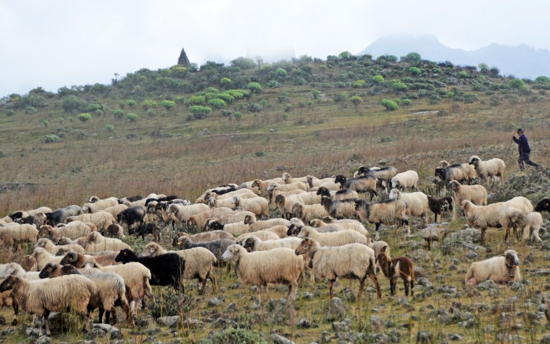 “Vet du att det finns massor av onådda folkgrupper uppe i bergen?”