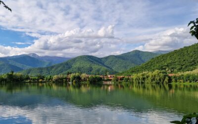 Hälsning från Georgien