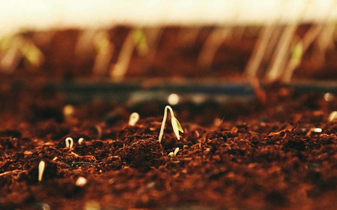 Apostlagärningarna i vår tid