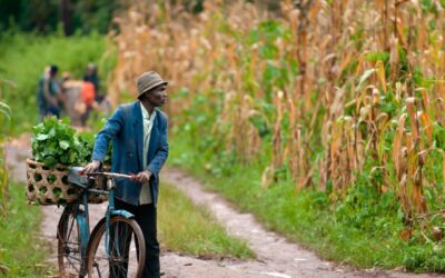 Vikten av böneskydd för teamet som översätter Bibeln.