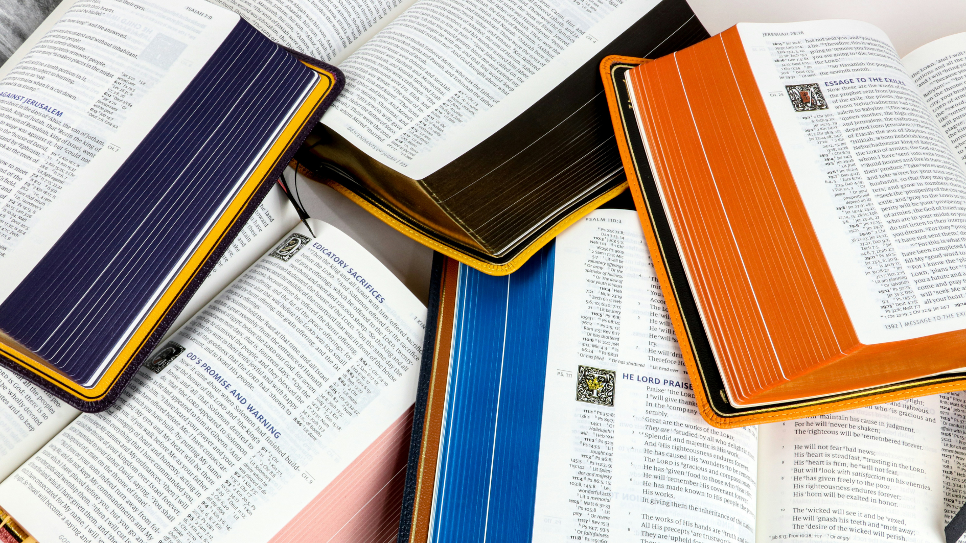 Humble Lamb – Unsplash