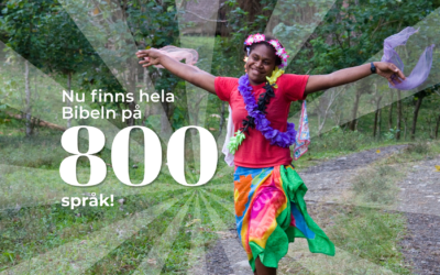 800!